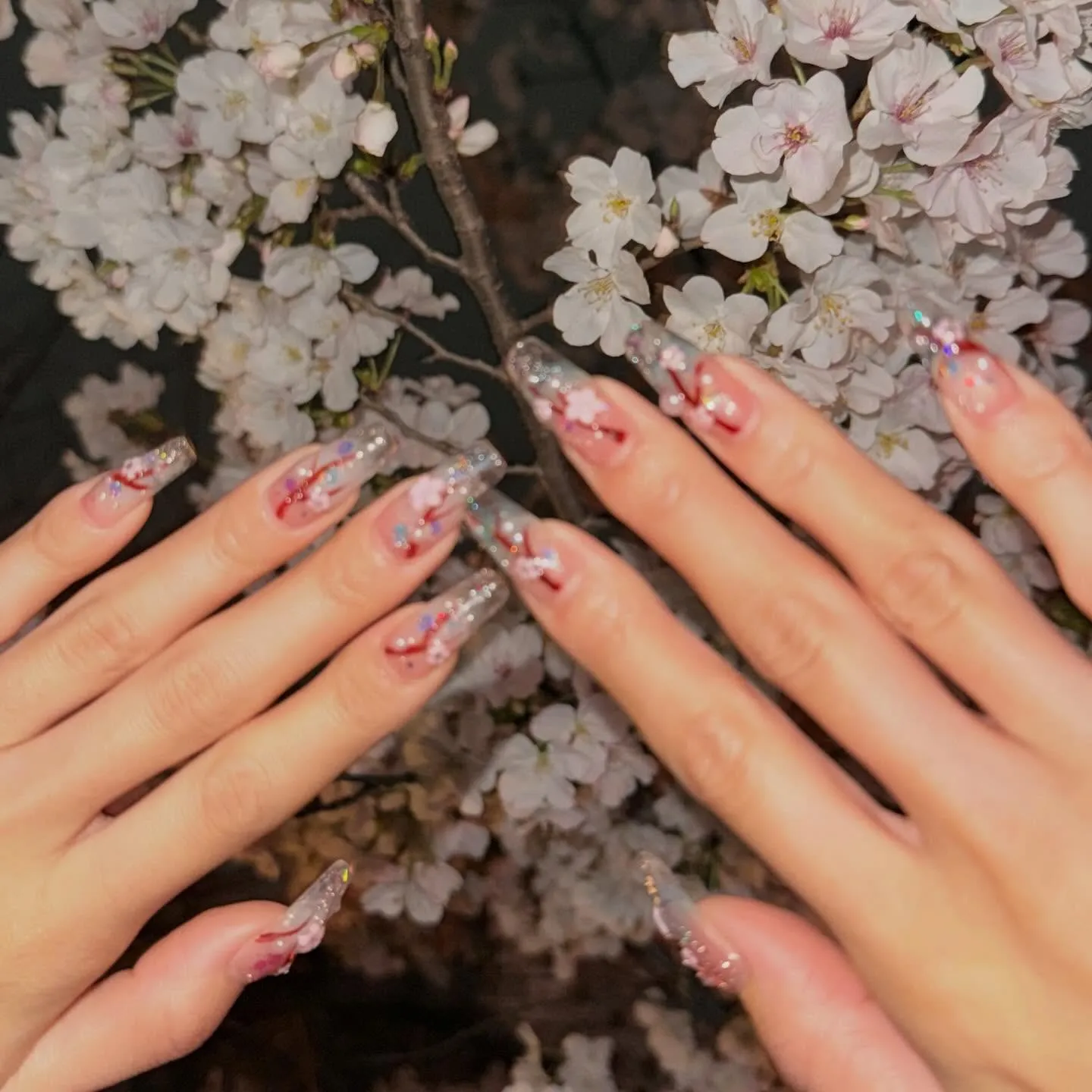 今年も春の訪れを祝いながら、美しい桜ネイルのデザインを楽しん...